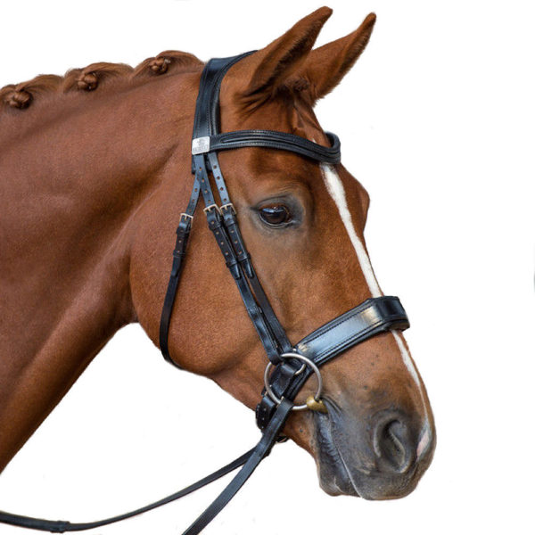 Fairfax Performance Snaffle Bridle Parts Tds Saddlers